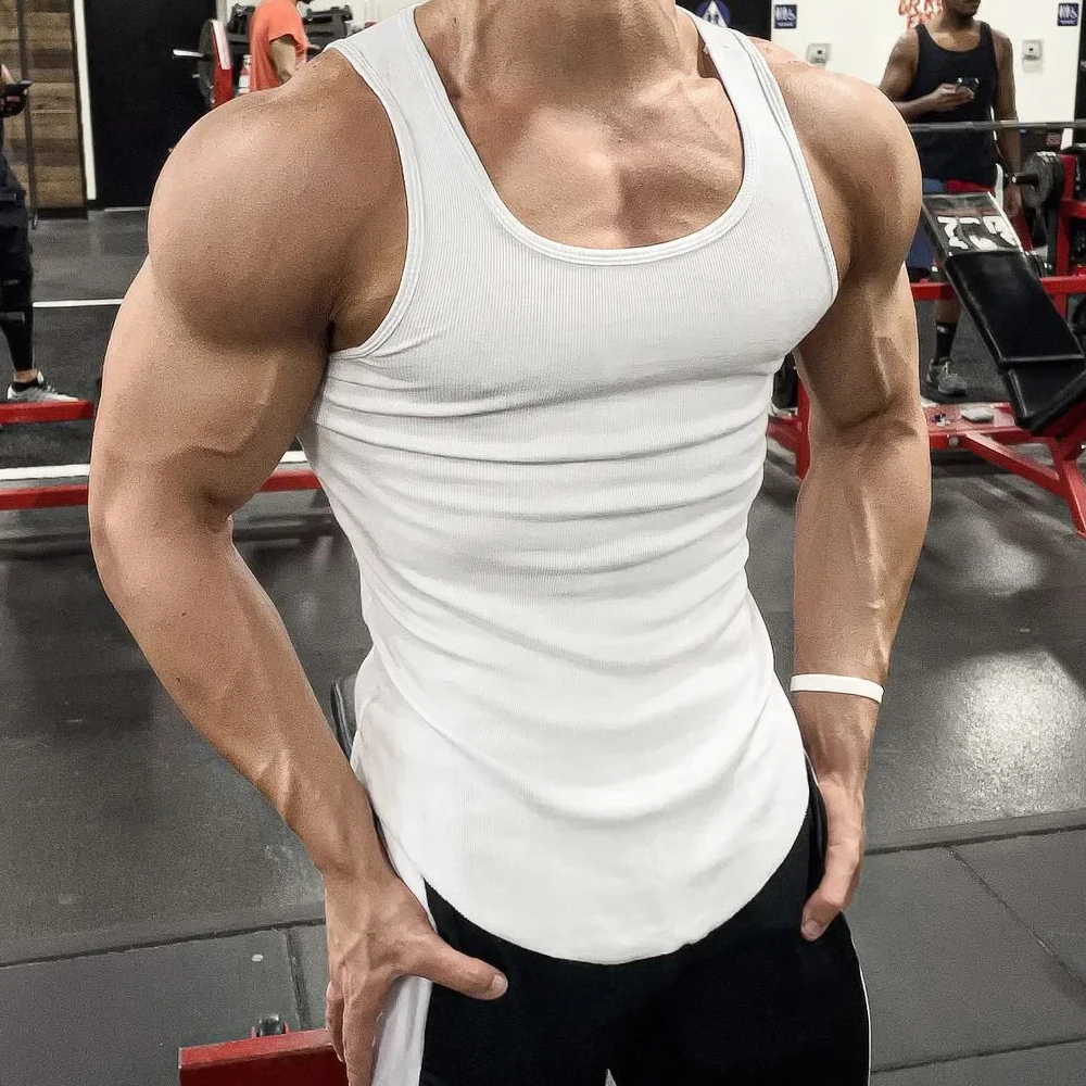Men's Sport Slim Vest Summer B - đánh giá và giá Undershirt Crew Neck